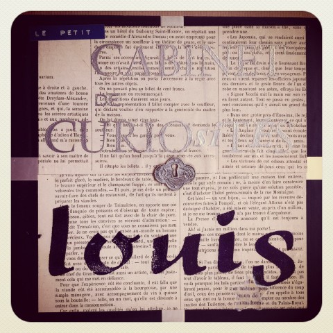 Le cabinet de curiosité de Louis